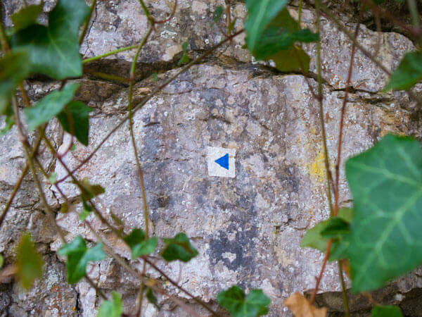 Zugewachsener Wegweiser auf einem Berg